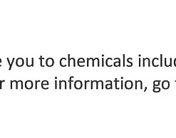 Uttermost Ellianna Crystal Spheres Set Of 2 -Lladró Shop 10353468 fpx 11