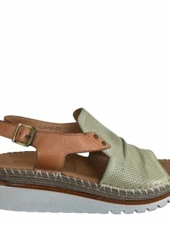 DIANA FERRARI ILIANA