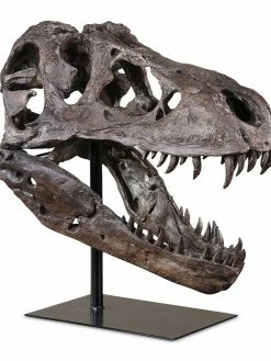 Uttermost Tyrannosaurus Sculpture