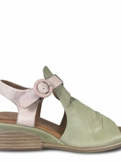 DIANA FERRARI DARMEL